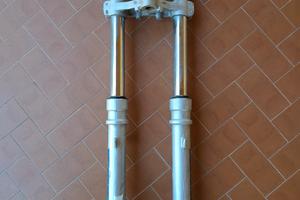 forcella marzocchi magnunm