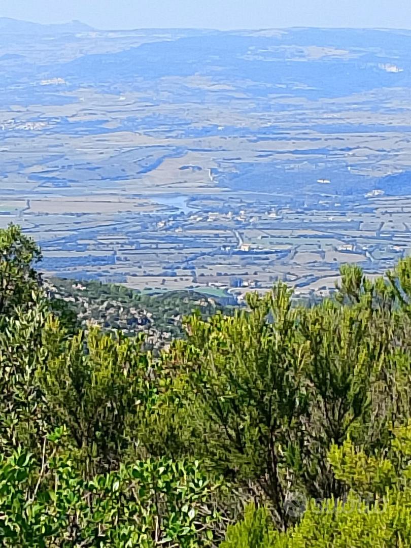 Terreno panoramico con rudere Gallurese - Vista 2