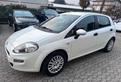 Fiat Punto 1.3 MJT II 75 CV 5 porte Lounge