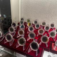 25€ Argento e Niobio Austria Collezione completa