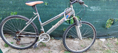 Biciclette mountain bike