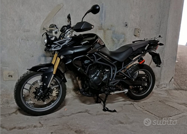 Triumph tiger 800