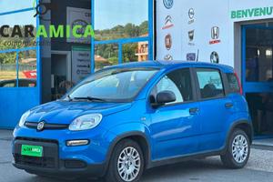 FIAT Panda 3ª serie Panda 1.0 FireFly S&S Hybr...