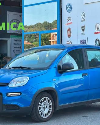 FIAT Panda 3ª serie Panda 1.0 FireFly S&S Hybr...