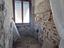 Immagine 20