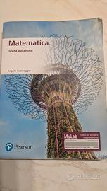 Matematica terza edizione libro testo universitari