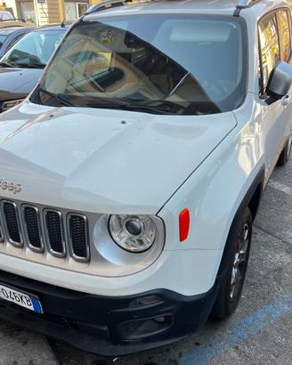 Jeep Renegade 2.0 MTJ 4x4 Active Drive Low Limited