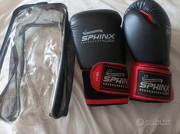 guantoni per kickboxing della sphinx