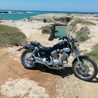 Yamaha Virago 535 asi scamb