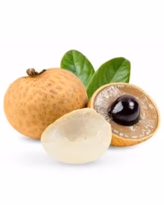 pianta Longan Dimocarpus stessa famiglia  Litchi
