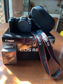 Canon R8 2500 scatti