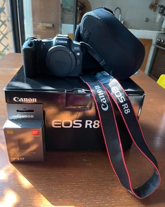 Canon R8 2500 scatti