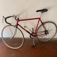 Olmo gentleman