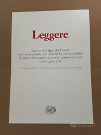 Quadro Leggere Salinger Architrave Nuovo