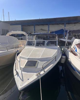 BARRACUDA BOBBY 25
