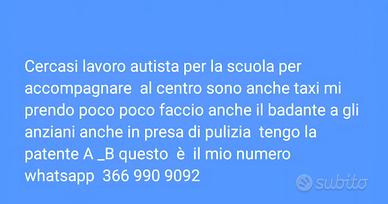 Per i disabili anche badante