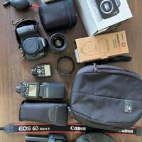 Canon EOS R6 Mark II kit