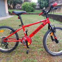 Bici Bambino 20pollici