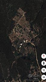 Terreni e rustico località Angelu Nieddu