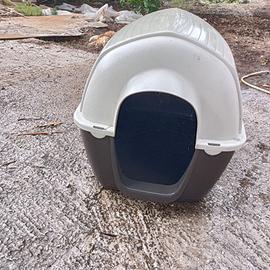 Cuccia mai usata