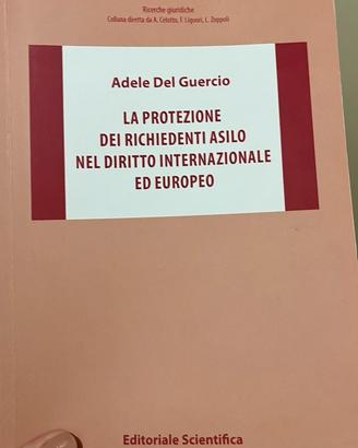 LA PROTEZIONE DEI RICHIEDENTI ASILO ,Del guercio