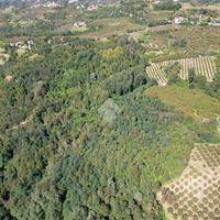 TER. AGRICOLO A CERRETTO LANGHE