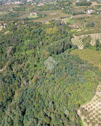 TER. AGRICOLO A CERRETTO LANGHE