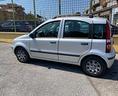 fiat-panda-1-2-dynamic-gpl-meccanica-buona