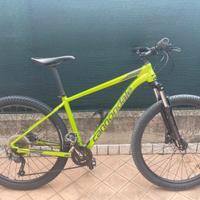 bicicletta cannondale mtb