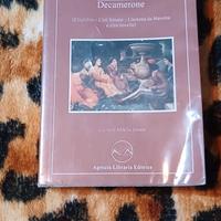 Libro Decamerone -Giovanni Boccaccio nuovo al 100%