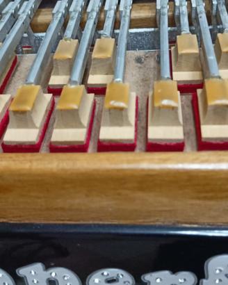 Fisarmonica Cooperfisa 2+2C