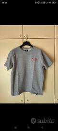 t-shirt  Dickies 