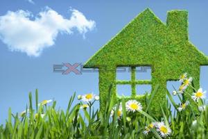 CAVARZERE: terreno edificabile