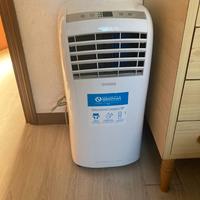 Pinguino dolceclima olimpia splendid