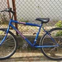 bicicletta