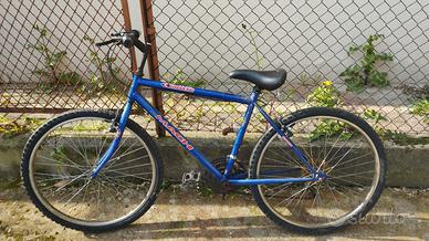bicicletta