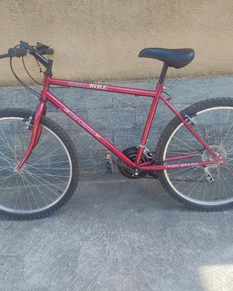Bicicletta MTB