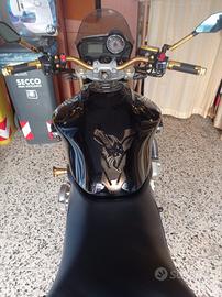 honda hornet 600