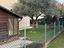 Immagine 20