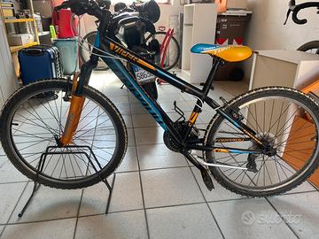 Bicicletta bimbo