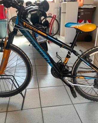 Bicicletta bimbo