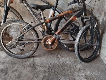 Bicicletta bimbo