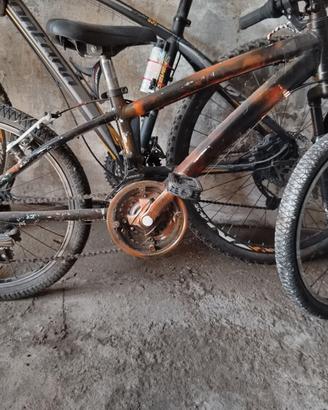 Bicicletta bimbo