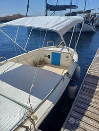 GOZZO NAVALPLASTICA 595 – 40 CV Vetus – 