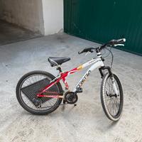 Mountain Bike Frera 24”