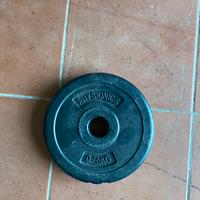 4 dischi 0.75 kg palestra