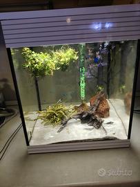 Acquario cubo Askol pure M 