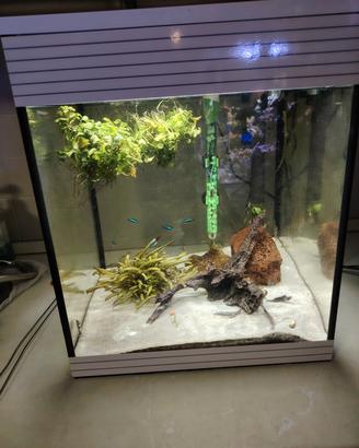 Acquario cubo Askol pure M 