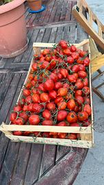 Pomodori a scocca