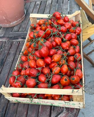 Pomodori a scocca